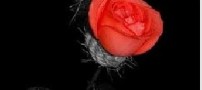 رفتی و تنهایم گذاشتی