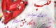 جای چشم ابرو نگیرد گرچه او بالاتر است