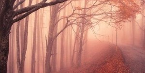 برای پاییز چه فکری داری؟