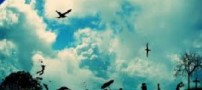 کارمندی عالی هستید اگر…