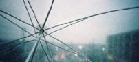 فردا دیگر برای قدم زدن نمی آیم تنها برو