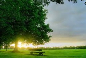 عشق بازیگرانه وجود دارد