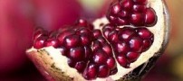 پیشگیری و درمان چاقی ایران