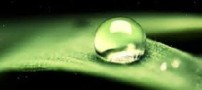 ارتقای هوش هیجانی فرزندانتان