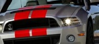 فورد موستانگ شلبی 2013 به بازار ارائه شد