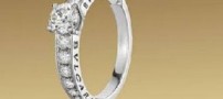 دایرهی همدلی و پایبندی