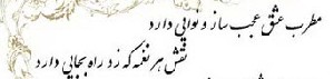 شعر ناز كاری به كار عشق ندارم!