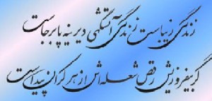 شعر جالب این سماجت عجیب