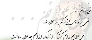 شعر من گنهكارم…اری تو بگو