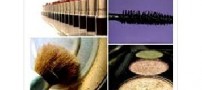 مواد آرایشی فاسد را چگونه تشخیص دهیم؟