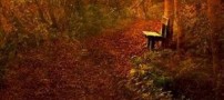 من هیچ نمی خواهم …
