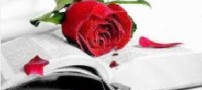 نمیدانی جفا را دوست دارم (شعر)