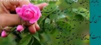 نصرت رحمانی و شعر پند آموزش