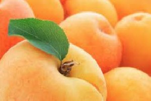 مواد مغذی موجود در زردآلو