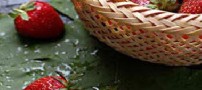منابع مهم توت فرنگی را بشناسید