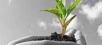 میدونی امید به زندگی یعنی چه؟