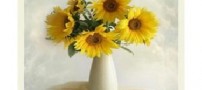 از زندگی لذت ببرید اما چگونه؟
