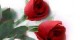 زندگی زیر سقف بی احساس ها