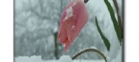 فرصت های زندگی را خوب بشناسیم