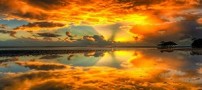 پاسخ اجمالی چگونه پاسخی است؟
