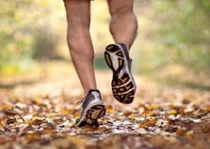 مشغول راهاندازی کسب و کاری هستید؟