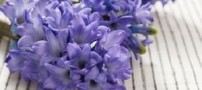 شش مورد از بوهایی عالی