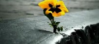 جدایی تنها راه نیست کمی فکر کنید
