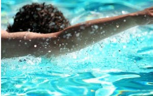 رژیم غذایی شنا گران ماهر چگونه است؟