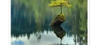 زندگی برای هر کس چگونه است؟