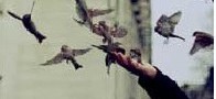 زندگی مجموعه‌ای از لحظه‌هاست!