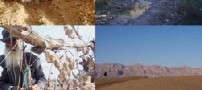 باغی که از درختانش سنگ آویزان است!