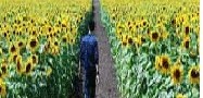 برای درك و لذت بردن در زندگی