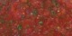 سس سالسا و طرز تهیه آن