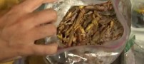 عکس هایی از مردی که به خوردن سوسک معتاد است