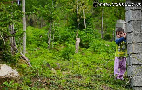 عکس های دلنشین از طبیعت زیبای حویق در گیلان