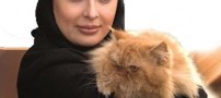 بازگشت نیوشا ضیغمی به عرصه سینما با گربه جدیدش