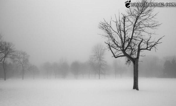زیبا و خارق العاده ترین عکسهای طبیعت در سال 2013