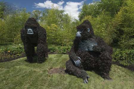 تصاویری از مسابقه مجسمه های گلی در مونترال