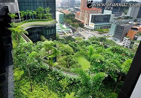 آشنایی با هتل زیبا و رویایی پارک رویال سنگاپور (عکس)