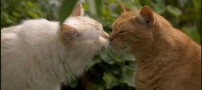 عکس های خصوصی و رمانتیک (ورود مجردها ممنوع)