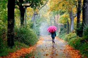 بهترین زمان برای پیاده روی چه موقع است ؟