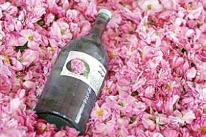 خواص مفید گلاب در سلامتی بدن