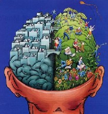 کشف یک کودک دوساله با یک نیمکره مغز!