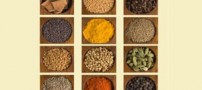 افزایش طول عمر با مصرف ادویه جات