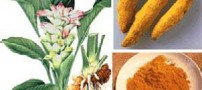 زردچوبه و خواص ضد سرطانی آن