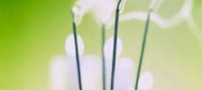 خواص درمانی دود کردن عود