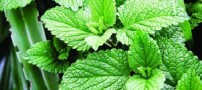 جایگزین طبیعی آنتی بیوتیک ها