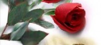 بحران ازدواج و بی همسری