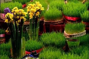 چطور سبزه هفت سین را آماده کنیم؟