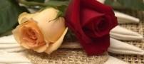 برای یک دوست واقعی !